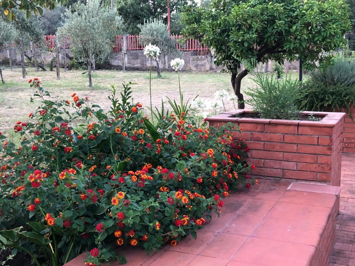 Villa Carolea Acireale Bagian luar foto