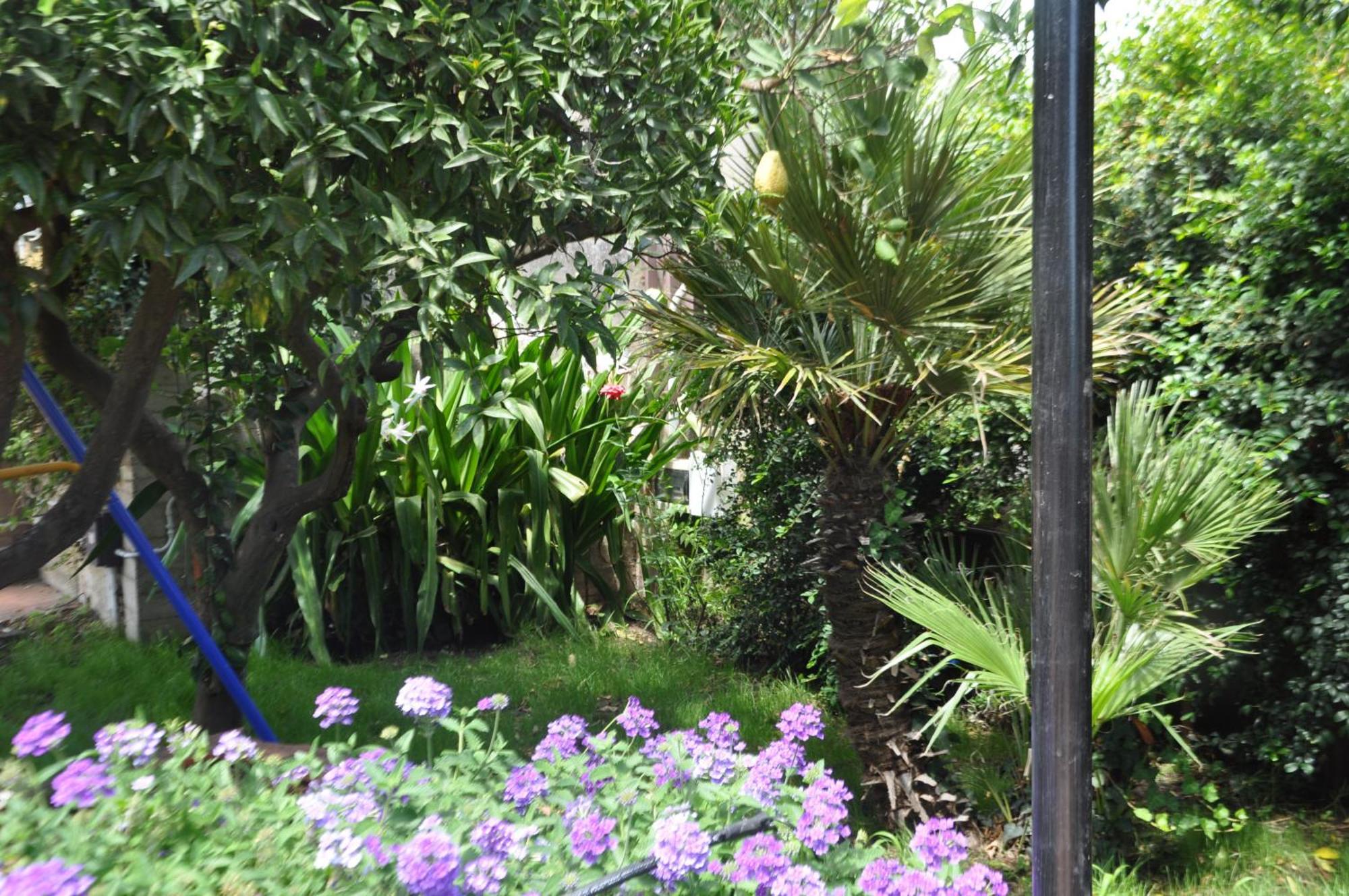 Villa Carolea Acireale Bagian luar foto